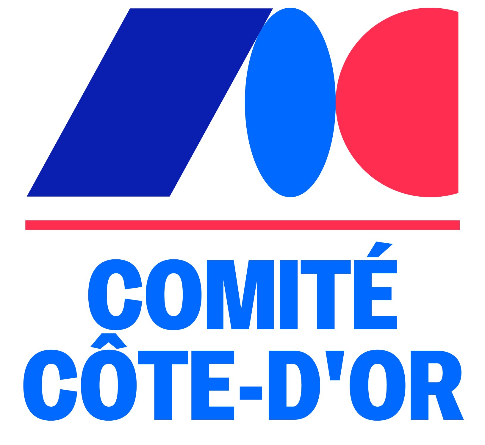 Logo CDTT21